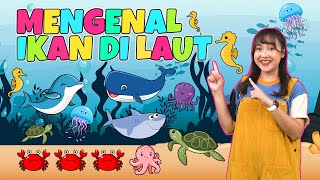 Download lagu Mari Mengenal Ikan Di Laut - Dengan Lagu Interaktif untuk Anak mp3