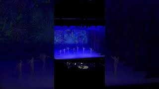 Ballet Casse-Noisette (Tchaïkovski) en Live 🩰 | Forest National Bruxelles