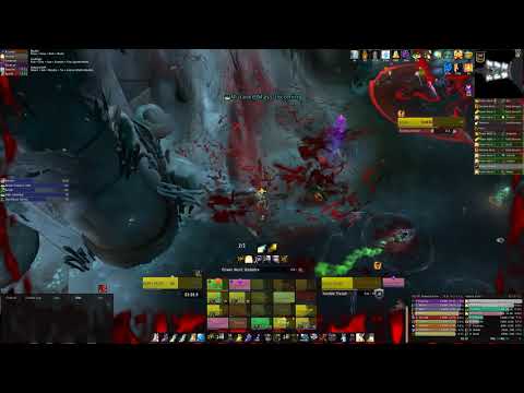 Honestly vs Mythic Fetid Devourer - Disc Priest PoV - World 4th