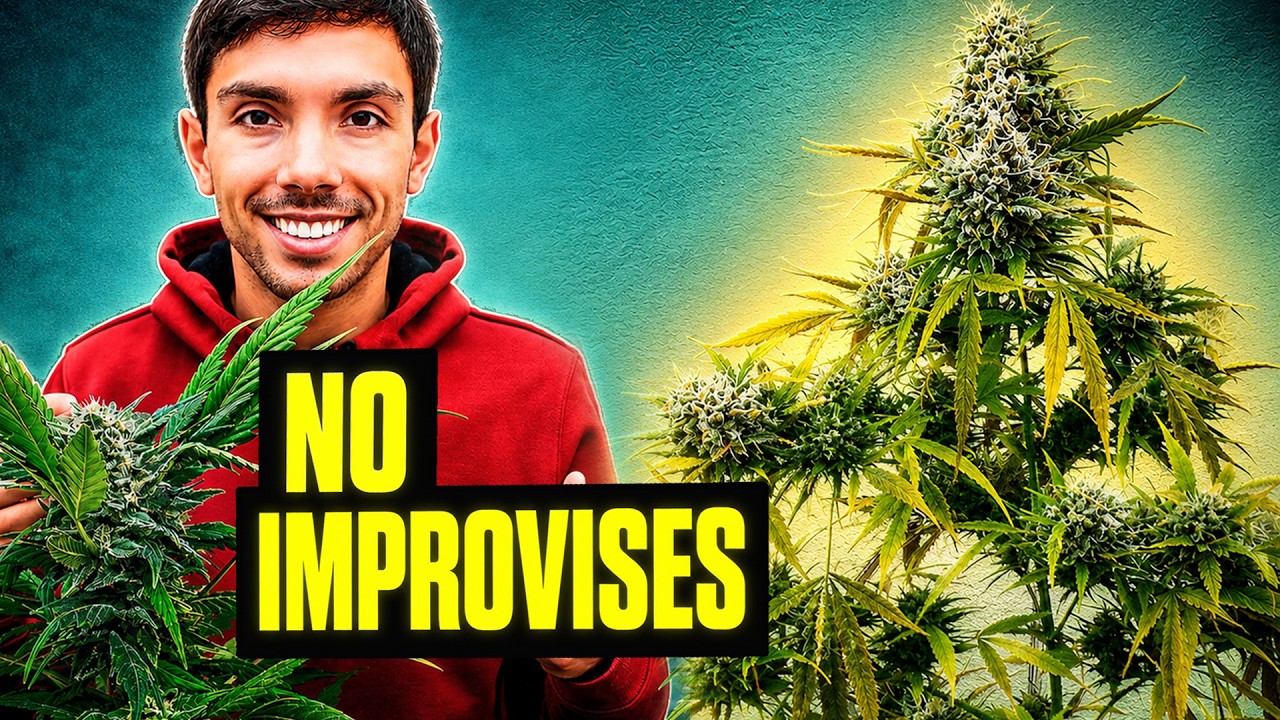 Mis 9 Pilares para No Fallar en Cultivo Exterior