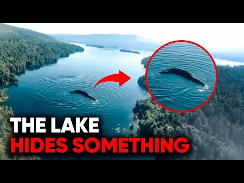 Alaska’s Version of Jaws Is Real — And It’s Bigger Than You Think