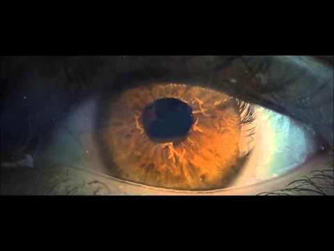 HEADHUNTERZ feat TATU ou t.A.t.U?