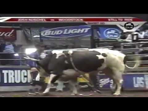 Gator bucks Brian Herman - 05 PBR Uniondale