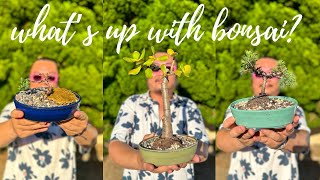 Bonsai DIY: All You Need to Know (from a total newb)