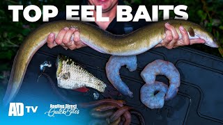 Top 3 Eel Baits - Predator Fishing Quickbite - Eel Fishing