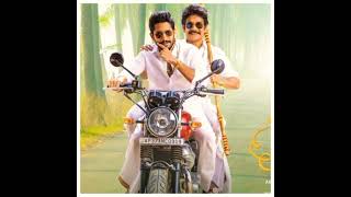 Download lagu bangarraju trailer. bangar raju official trailer. bangarraju images mp3 Download lagu bangarraju trailer. bangar raju official trailer. bangarraju images mp3