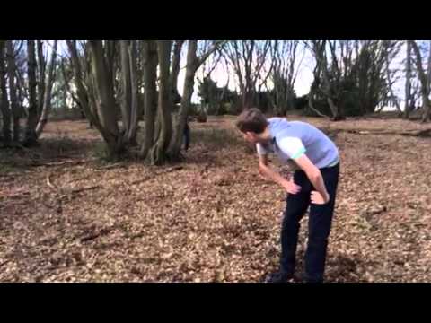 The Forgotten Horror Teaser Trailer