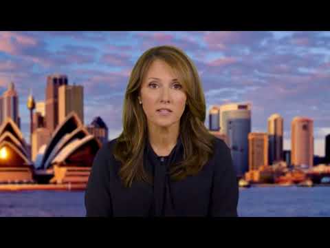 OPEN WATER 3 CAGE DIVE - Clip News Report