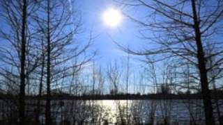 behind those eyes of blue .Baz Thornton