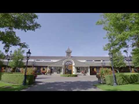 A preview to the Longines Global Champions Tour of Valkenswaard