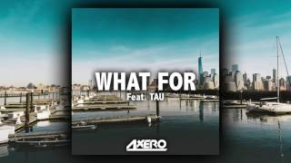 Axero - What For (feat. TAU)