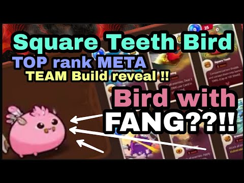 SQUARE TEETH BIRD META 🧛😨 Team Reveal Axie Origin #axieinfinity #axieorigin #axiemeta #axiegameplay