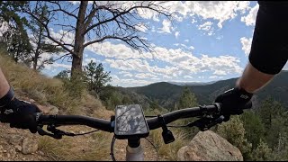 Juniper - Centennial Cone - Golden - Colorado
