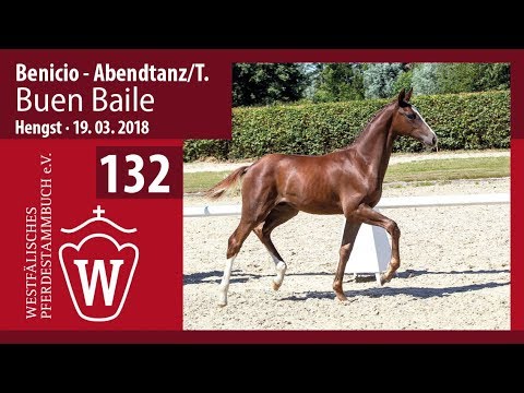 132 Buen Baile HF v. Benicio - Abendtanz/T.