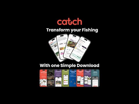 Go Catch Fish