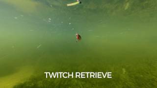 Wobler Rapala X-Rap Twitchin Mullet 08_OG