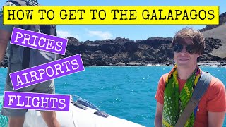 HOW TO GET TO THE GALAPAGOS ISLANDS | TRAVEL 2021 - AIRPORTS | FLIGHTS | PRICES - TRAVEL ECUADOR