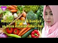 MANFAAT SAYURAN