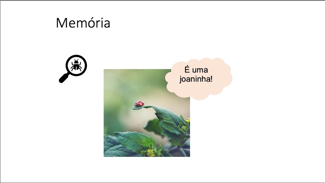 IHC - Cognição e memória