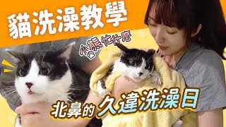 [問卦] 我朋友直接在客廳養了一隻牛