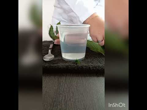 PET explica- Experimento Fotossíntese.