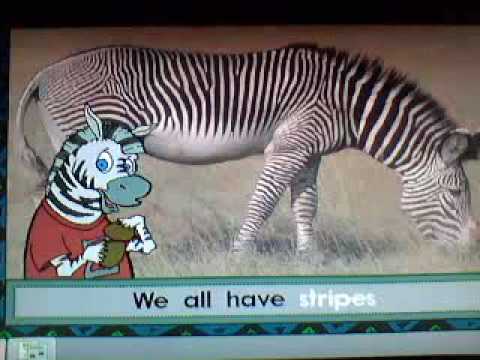 the zebra song
