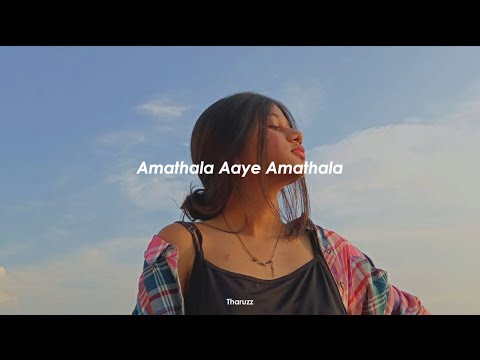 Amathala Aaye Amathala | අමතලා ආයේ අමතලා - (Slowed and Reverb)