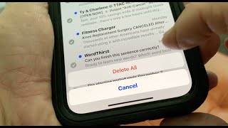 How to delete all Junk and Trash emails on iPhone 12
