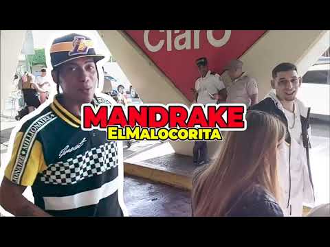 Mandrake El Malocorita ft El Jincho - Goku & Vegeta (Video Oficial)