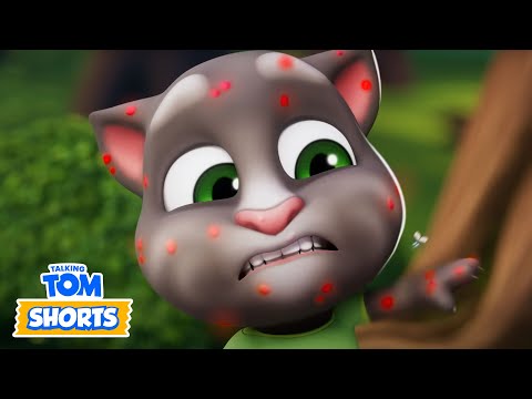 OH NO! What Happened to Tom?! ???? Talking Tom Shorts ???? LIVE Cartoons 24/7 ????