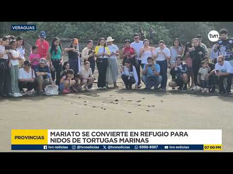 Conservación en Veraguas: Así rescatan y cuidan los nidos de tortugas en Mata Oscura y Malena