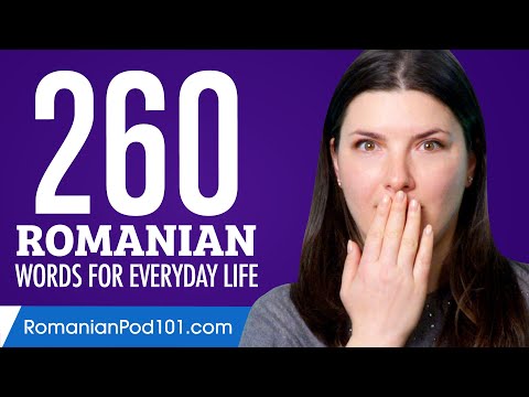 260 Romanian Words for Everyday Life - Basic Vocabulary #13
