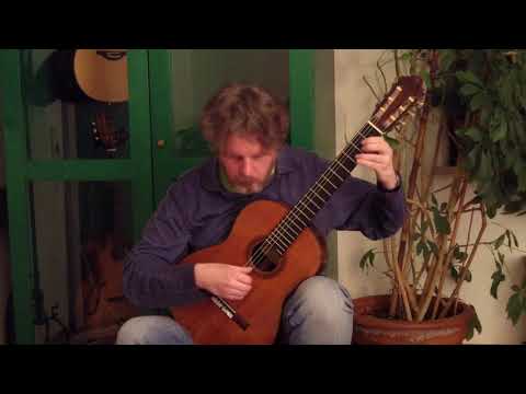 RCM Guitar Series - Introductory - Dance (Neusidler)