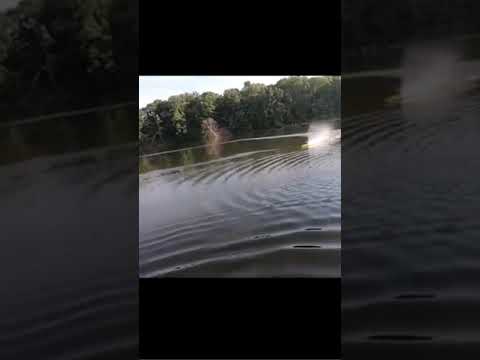 TFL Hobby 1106Z F S1 Pursuit Fibreglass RC Boat  #shorts