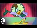 Tiny Toon Adventures Volume 4 Weekday Afternoon Live Warner Bros Entertainment