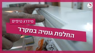 גומיות למקרר - טיפים שחשוב לדעת
