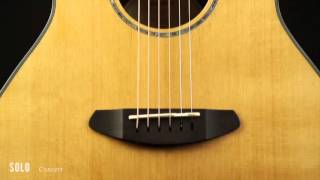 Video thumbnail for Breedlove Solo Concert Acoustic-Electric Guitar Introduction | Full Compass by Full Compass