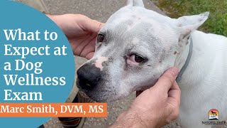 #doghealth: What to Expect at a Wellness Exam - Marc Smith, #DVM, MS
