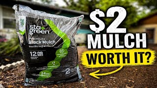 I Bought the Cheapest Mulch at Lowe’s… Can It Fix This Neglected Flower Bed