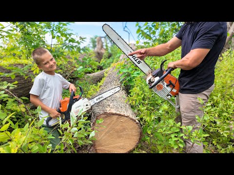 We're back Cutting Firewood and it Feels Good.
