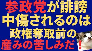 【参政党】神谷代表や参政党が誹謗中傷される理由
