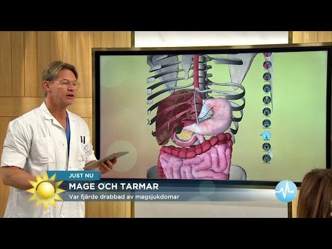 Så slipper du förstoppning och diarré - Nyhetsmorgon (TV4)