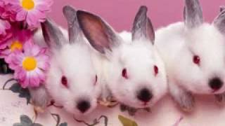 Nothing is Broken but my heart