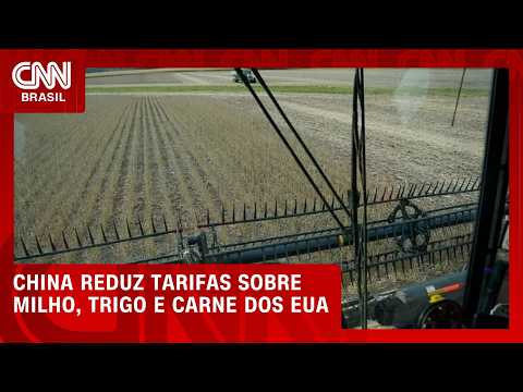 China reduz tarifas de produtos agrícolas dos EUA, mas exclui a soja | CNN AGRO NEWS