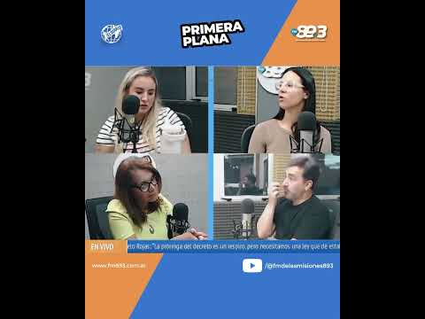 Canes que curan: Misiones apuesta por la terapia asistida 🐾