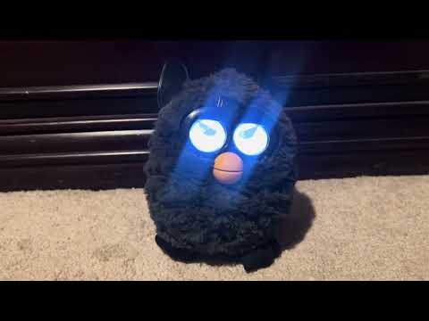 Black Magic Furby Grumpy to Sweet