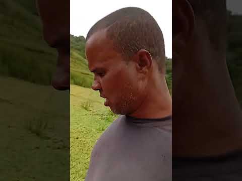 #dia de rotina na fazenda hashtag Itaboraí Rio de janeiro