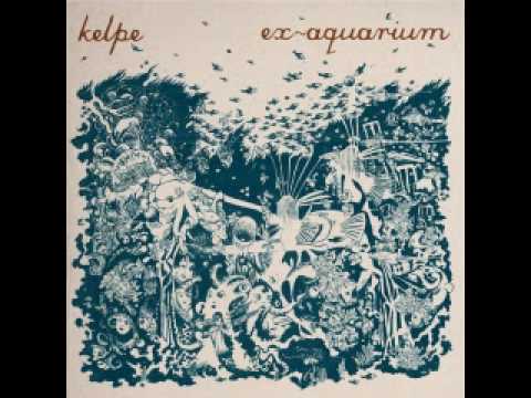 Shipwreck Glue -- Kelpe
