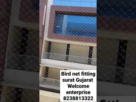 Nylon green anti bird safety net, for agriculture