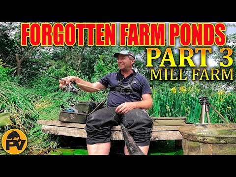 Forgotten farm ponds,  Part 3, Mill farm